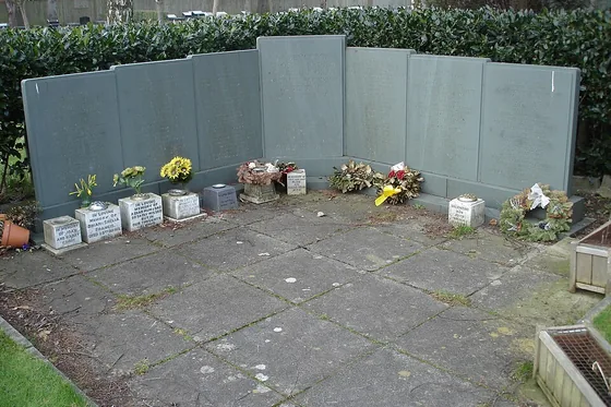 Photograph related to Dan-Air Flight 1008 in Tenerife