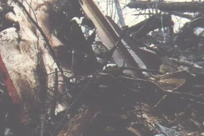 Photograph related to Japan Airlines Flight 123 on Mount Osutaka