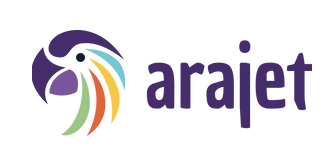 Arajet is born