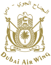 Logo Dubai Royal Air Wing