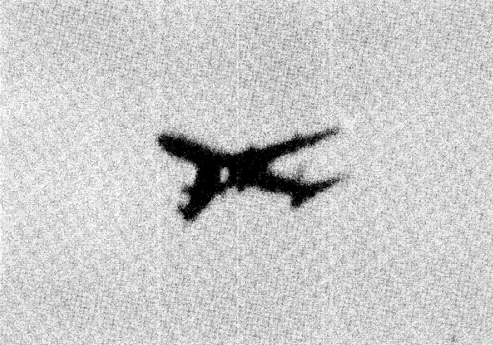 JAL 123: la tragedia del monte Osutaka