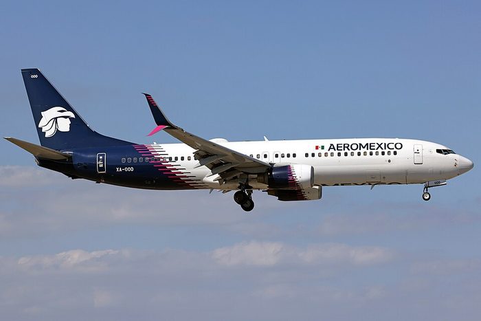 Nace Aeroméxico