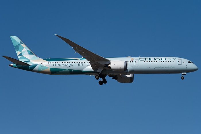 The 787 Dreamliner flies