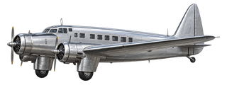 Ilustración Dewoitine D.333